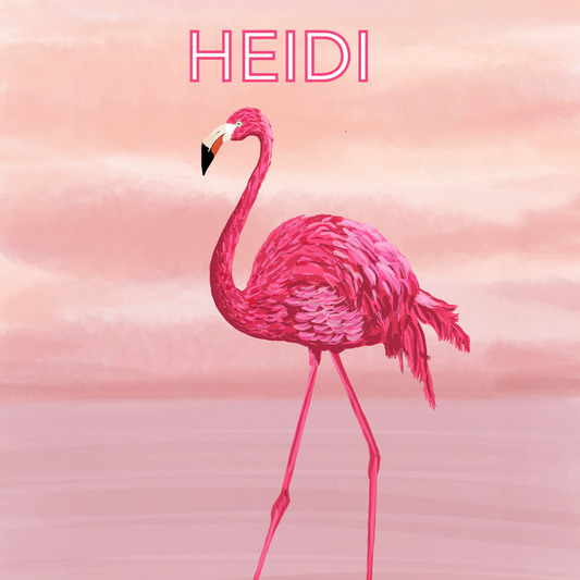 Flo the Flamingo Illustration