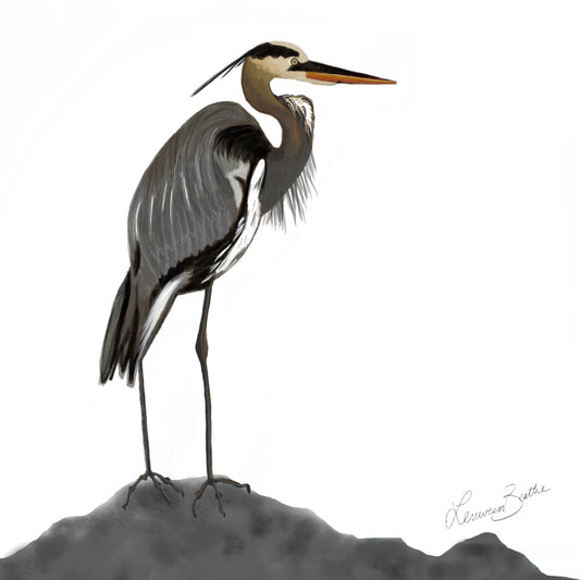 Hetty the Heron, Illustration