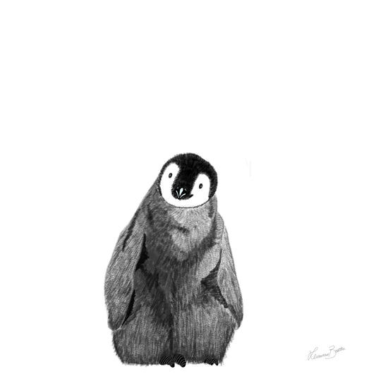 Baby Penguin Illustration