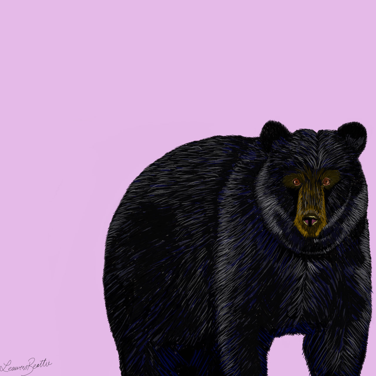 Brazen Black Bear Illustration