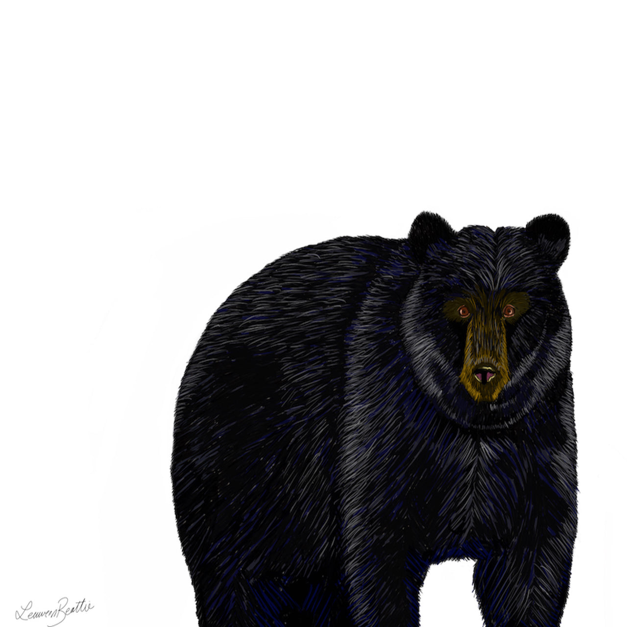 Brazen Black Bear Illustration