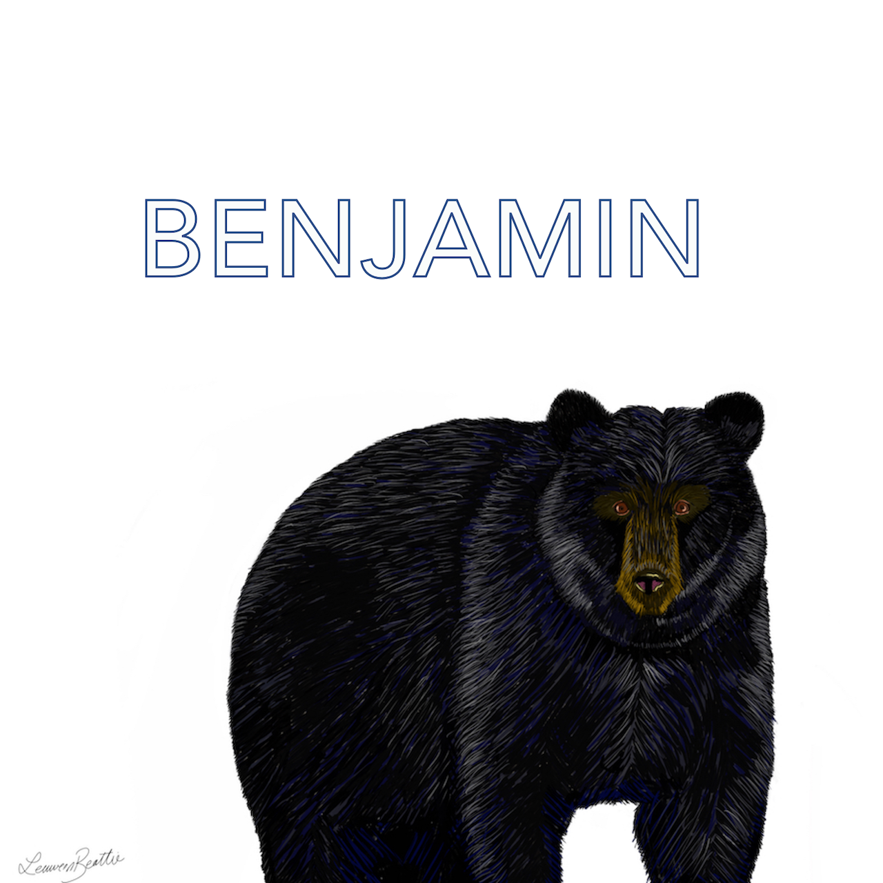 Brazen Black Bear Illustration