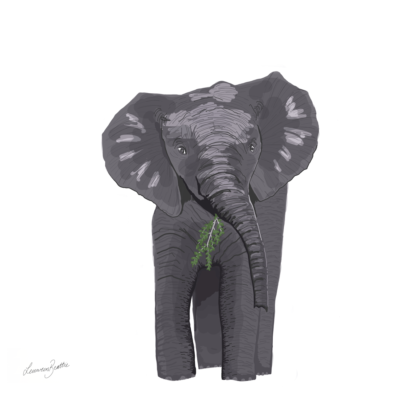 Elliot the Elephant, Illustration