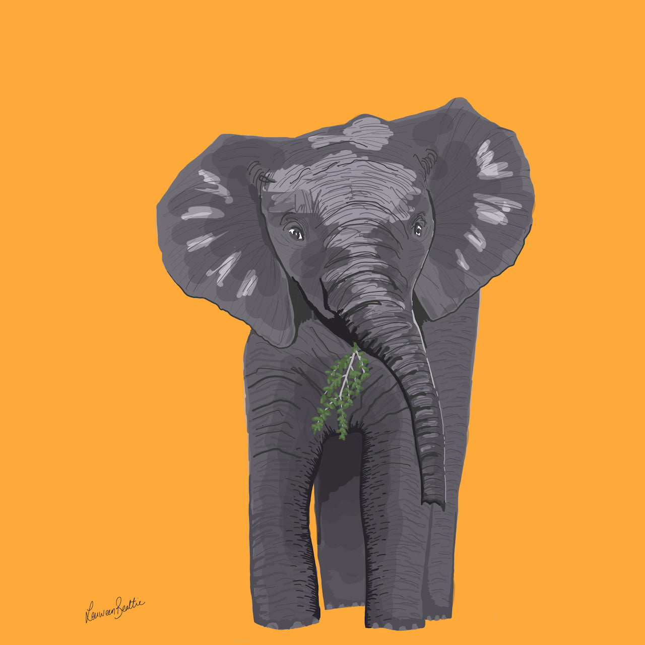 Elliot the Elephant, Illustration