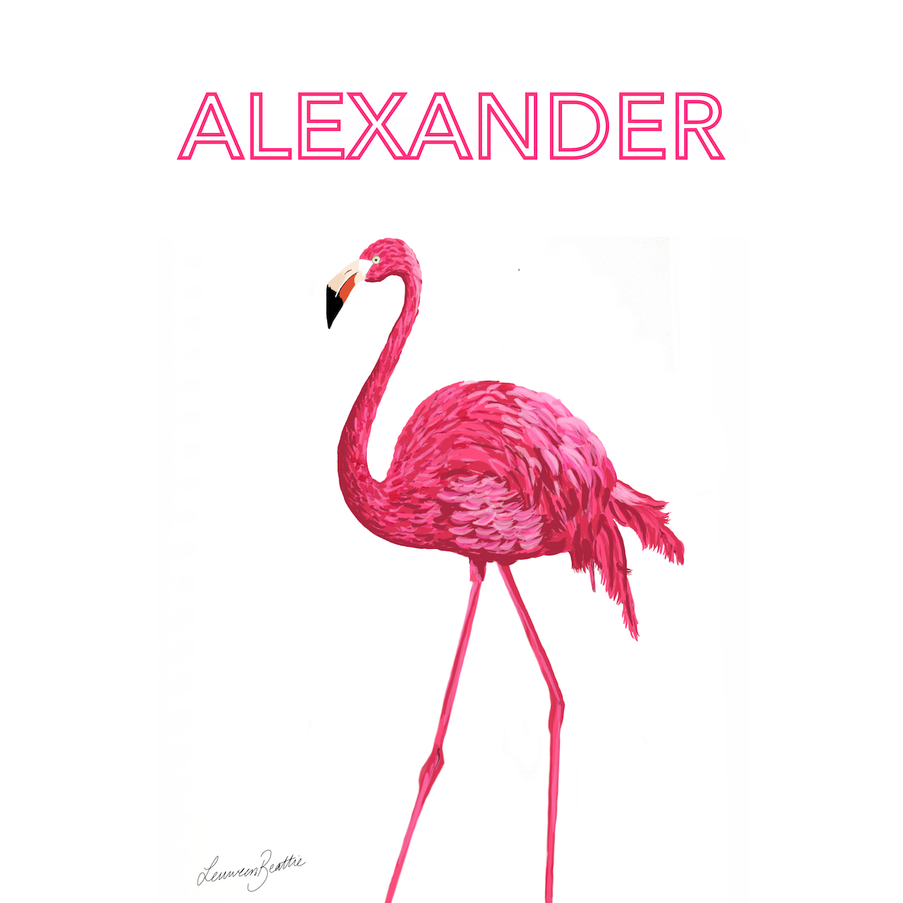 Flo the Flamingo Illustration