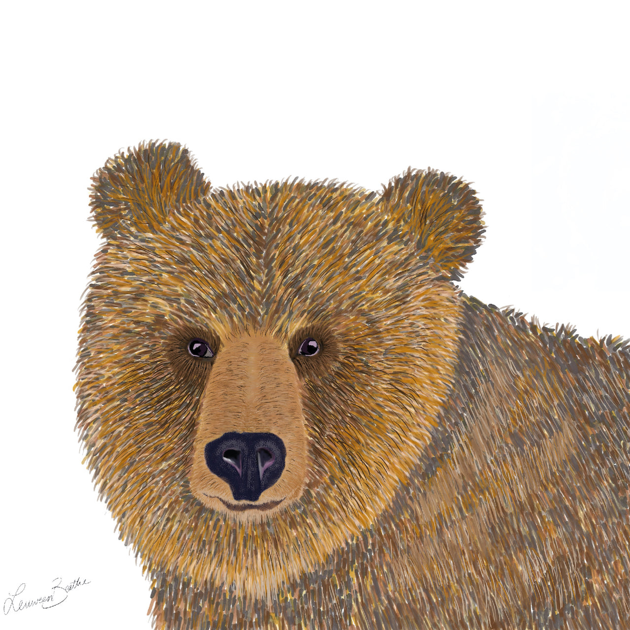 Glimpsing Grizzly Illustration