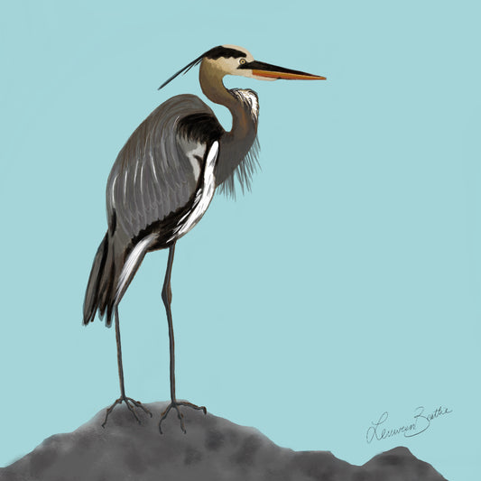 Hetty the Heron, Illustration