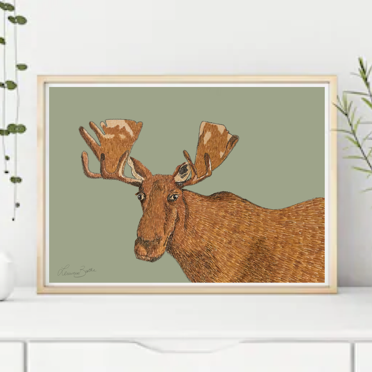 Mr Moose, Illustration