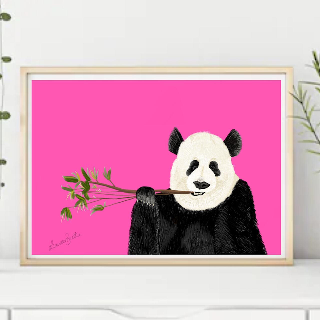 Snacking Panda, Illustration