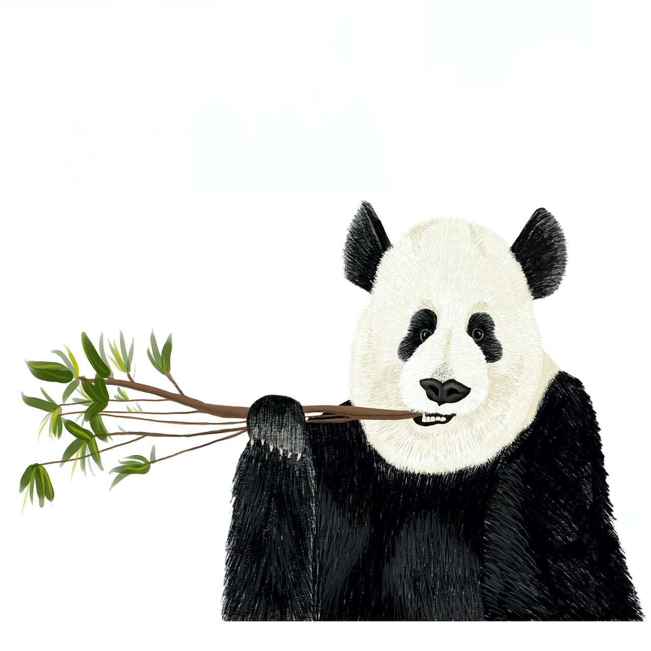 Snacking Panda, Illustration