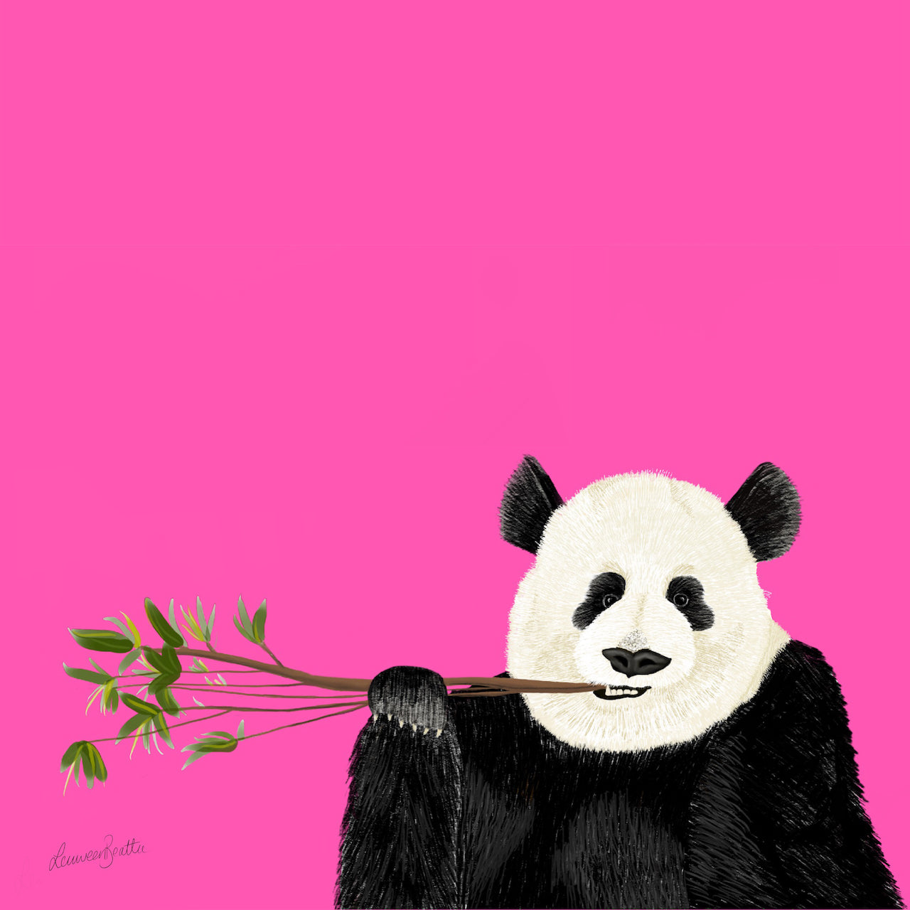 Snacking Panda, Illustration